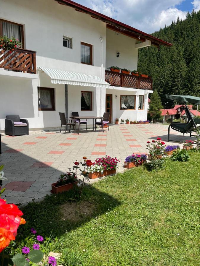 Pensiunea Padurea 3* Moeciu De Sus